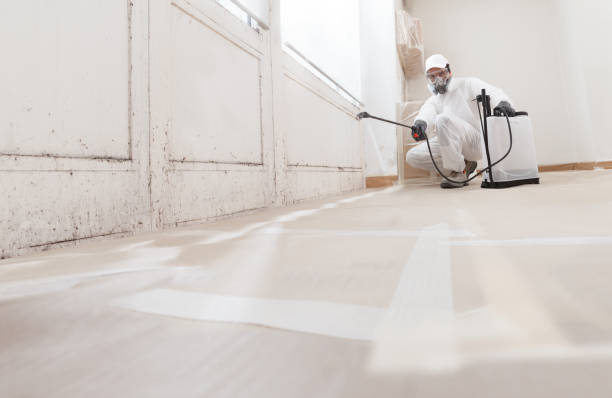 24/7 Emergency Mold Cleanup experts in Jackson, MI